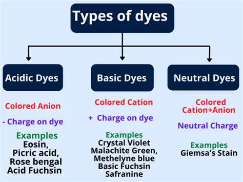basic stain vs acidic stain.